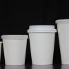 Paper-Cup-2